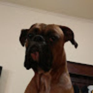 Meet your Posher, Dana